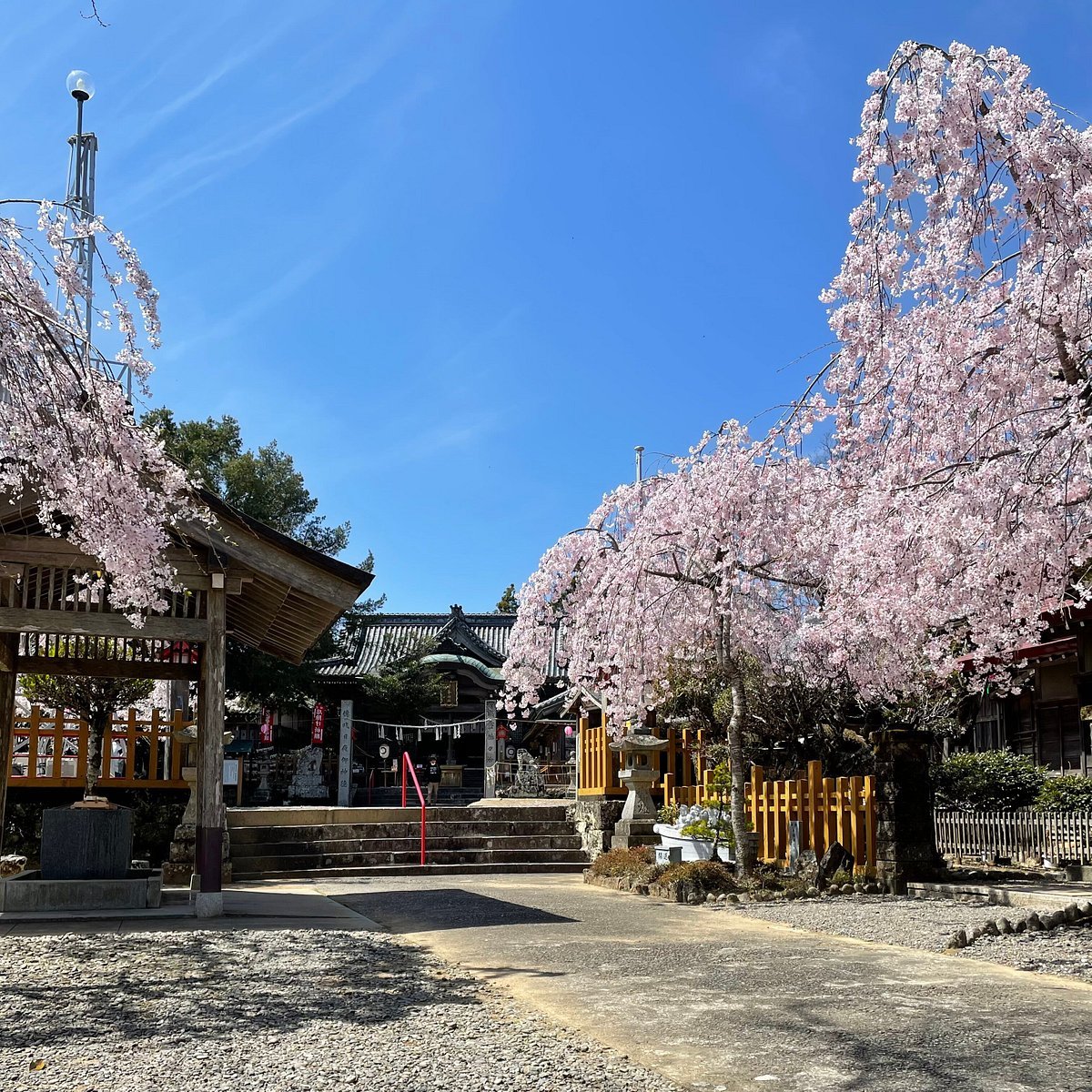 ⛩️ 쓰노미네 신사(쓰노미네 진자) 이미지 8